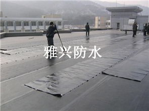 龍華地區(qū)專業(yè)防水補(bǔ)漏與管道安裝工程服務(wù)詳解